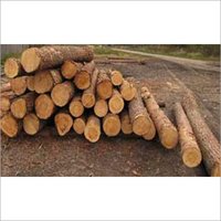 Pine Wood Timbers