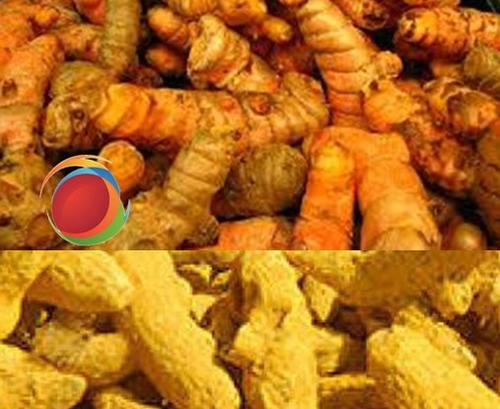 Turmeric - Organic Yellow Finger and Powder, Pure Turmeric with Authentic Taste and Aroma