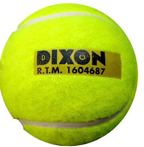 Cricket Tennis Ball