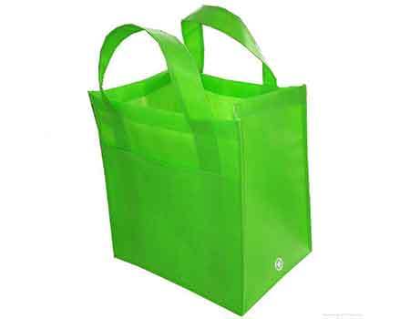 Non-woven Carry Bag