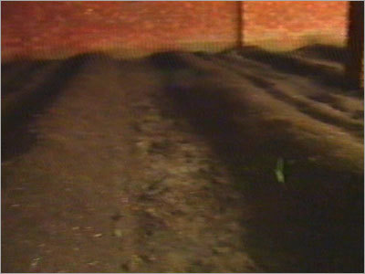 Farming Vermicompost