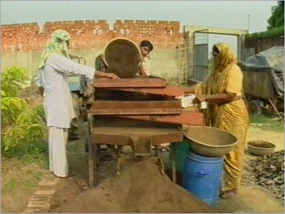 Vermicompost Manure