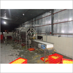 Sweet Corn Packing Equipment