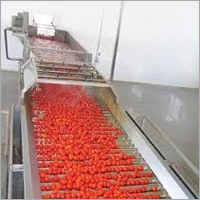 Tomato Processing Plant