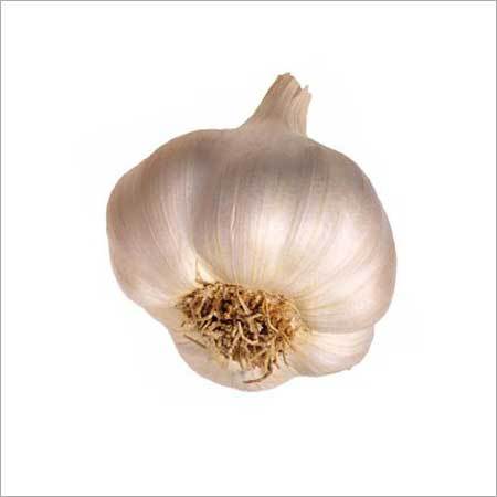 Organic Garlic