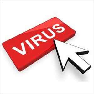 Virus Removal Services