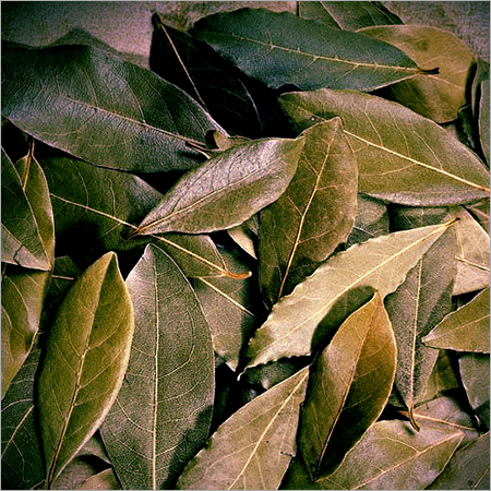 Bay Leaves