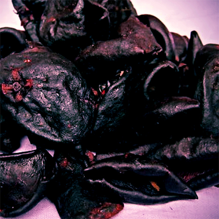 Kokum