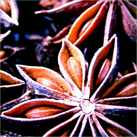 Star Anise