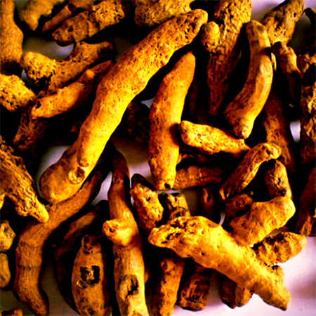 Turmeric Finger