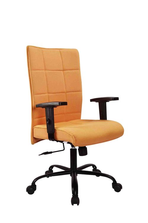Aura Mid Back Chairs