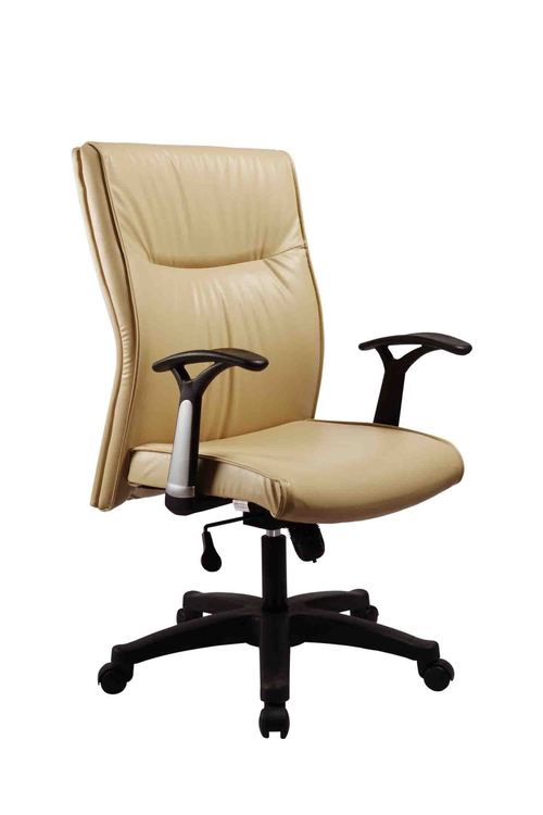 Radiant Medium Back Chair
