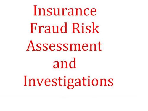 Insurance Frauds Risk Assessment and Investigations