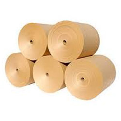 Paper Roll