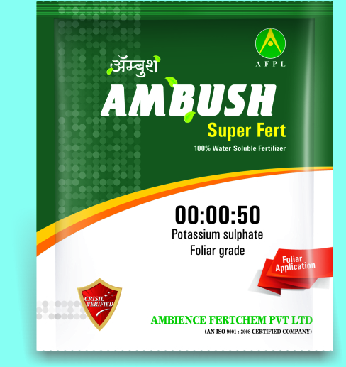 Ambush Foiler Grade - 00:00:50