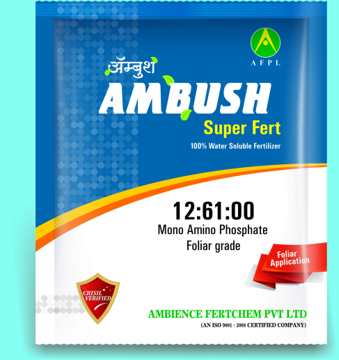 Ambush Foiler grade - 12:61:00