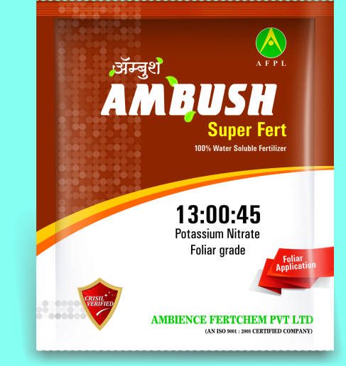 Ambush Foiler Grade - 13:00:45