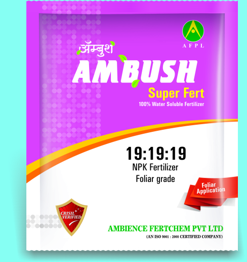 Ambush Foiler Grade - 191919