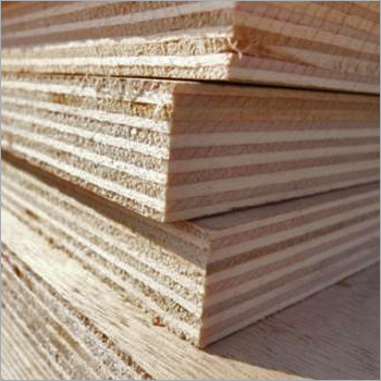 Commercial Plywood By EVERGREEN PLYWOOD INDUSTRIES