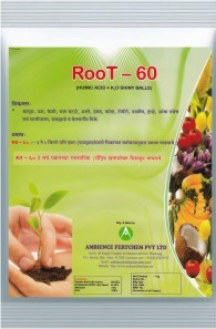 Root 60