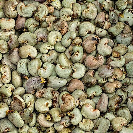 Raw Cashew