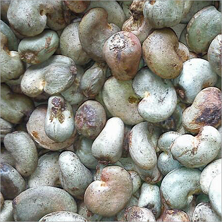 African Raw Cashew Nuts