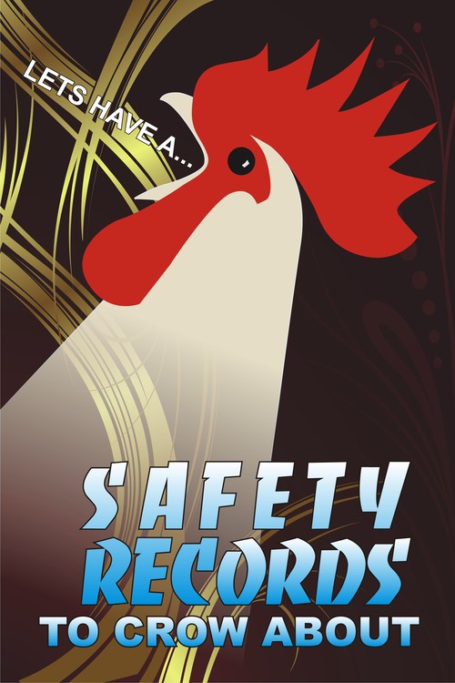 SAFETY RECORDS