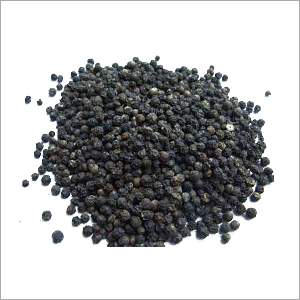 Black Pepper - Bulk Bags, Various Sizes | Black Color, Minimal Impurities, Low Moisture, Culinary Uses, High Quality, Strong Aroma, Versatile Spice