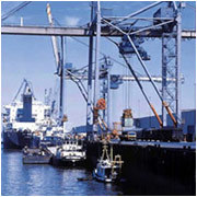 Sea Freight Forwarding Service