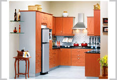 usha ped american cherry