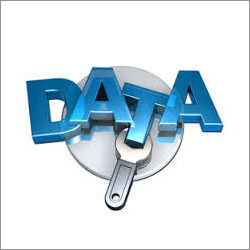 Database Support Services
