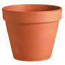 Flower Pot