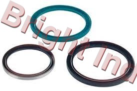 Viton Rotary Shaft Seal