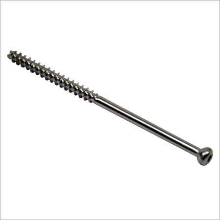 Orthopaedic Implant Screws