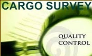 Survey Of Cargo