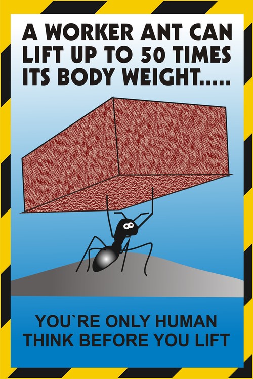 MOTIVATION POSTERS