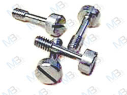 Brass Meter Screw