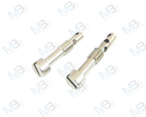 Brass Meter Sealing Screws