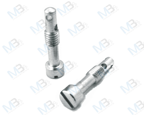 Meter Sealing Screws