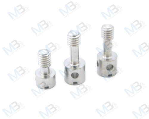 Brass Sealing Screws