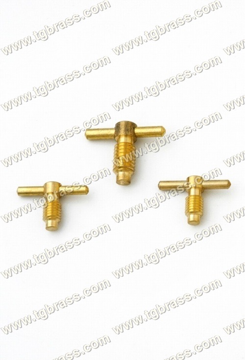 Stainless Steel Brass Lpg Keys