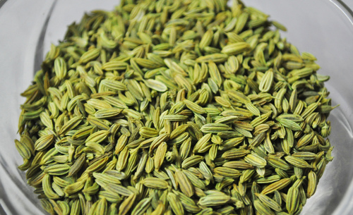 Fennel Seeds Exporters in india
