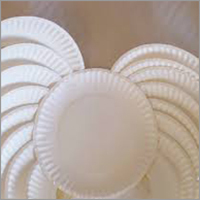 Serving Paper Plates