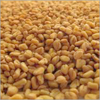 Methi Seeds