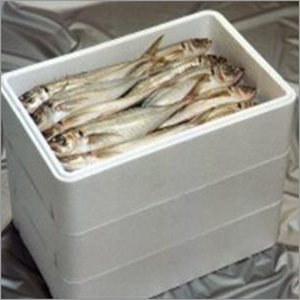 Fish Box