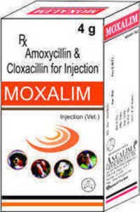  Amoxycillin & Cloxacillin Injection 3gm & 4gm