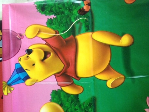 Pvc Sheetings - Multi Color, Sizes L, XL, XXL | Waterproof Fabric, Unisex Design for Rainy Season, 6-Month Warranty