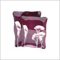 2PCS Tray Set