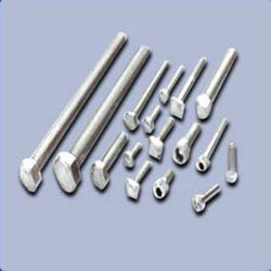 Stainless Steel Fasteners for Food Processing Indu