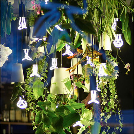 Interior Decorative Light Bulb